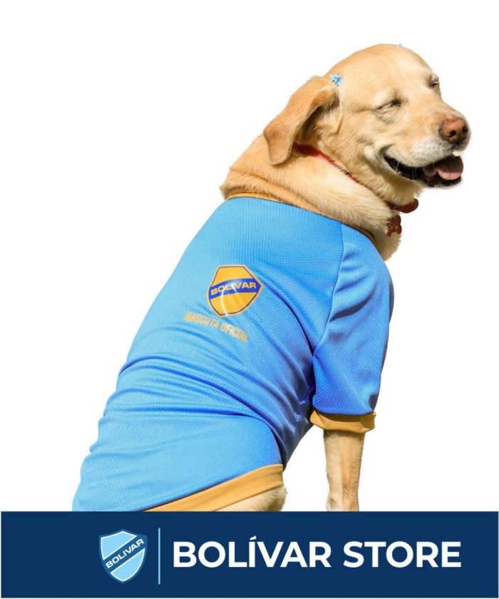 ⁠Poleras de mascota celeste