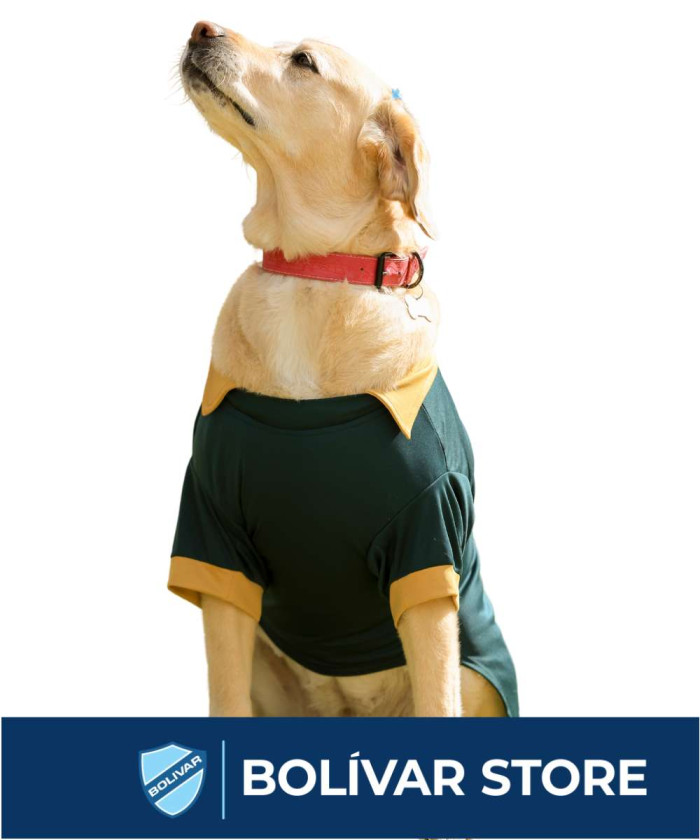 ⁠Poleras de mascota verde