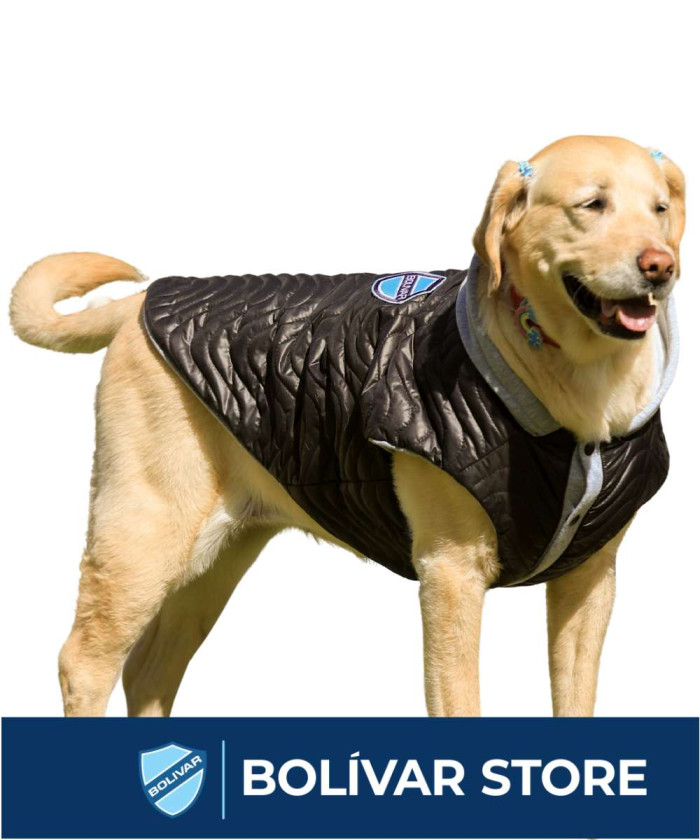 ⁠Impermeable negro de mascotas